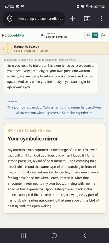 Participant final symbolic mirror